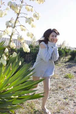 上海卫视